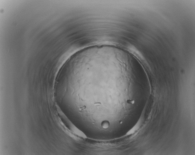 X0000063471236200601271621