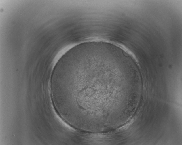 X0000063471239200601271621