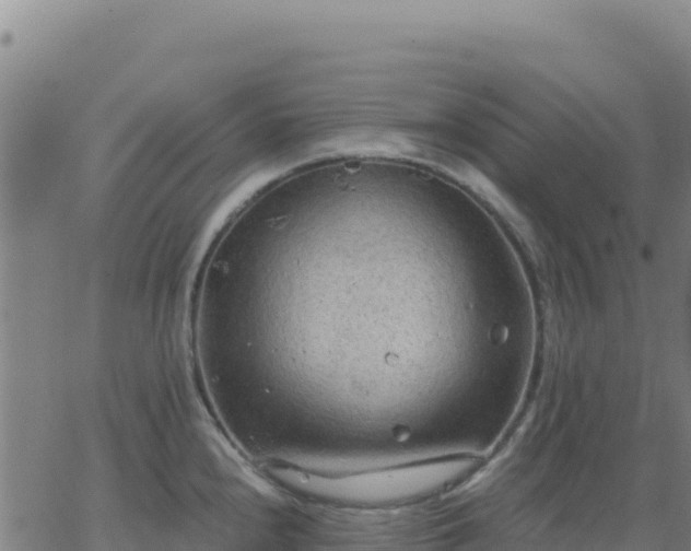 X0000063471240200601271621