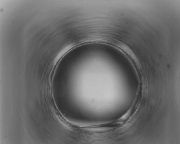 X0000063471242200601271621