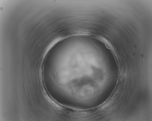 X0000063471243200601271621