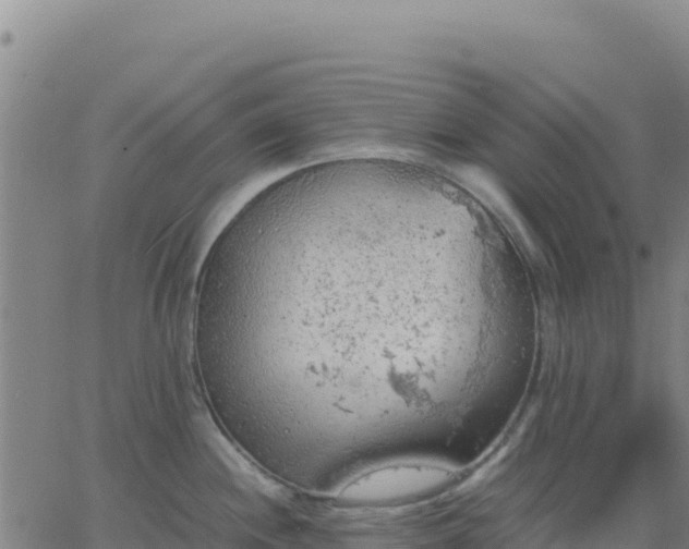 X0000063471244200601271621