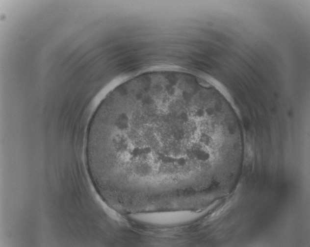 X0000063471245200601271621