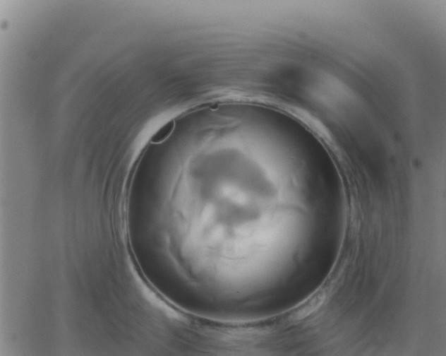 X0000063471247200601271621