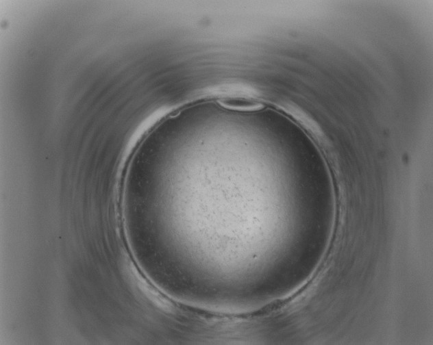 X0000063471248200601271621