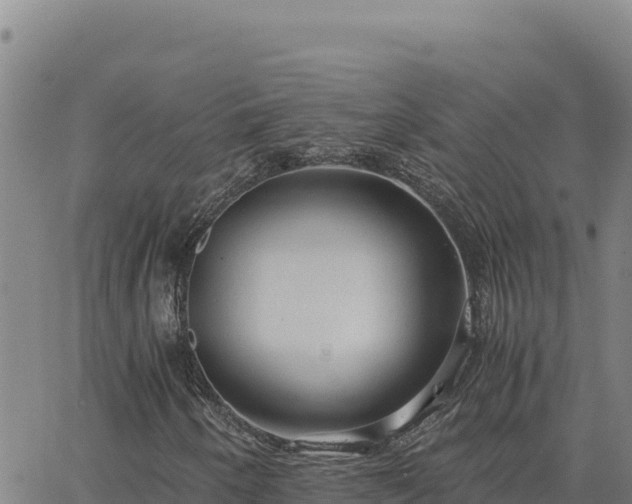 X0000063471250200601271621