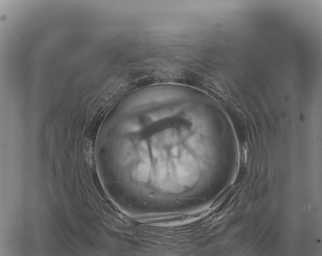 X0000063471251200601271621