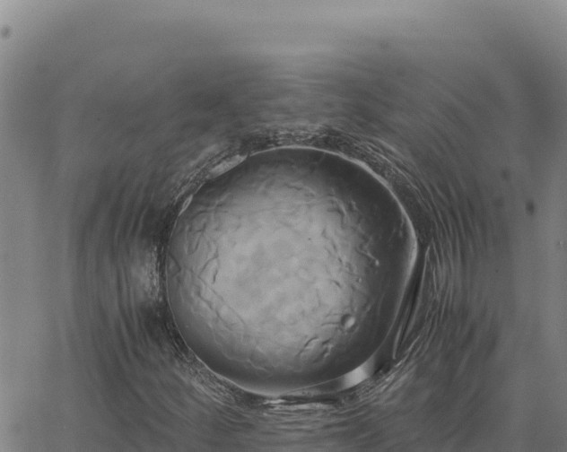 X0000063471252200601271621