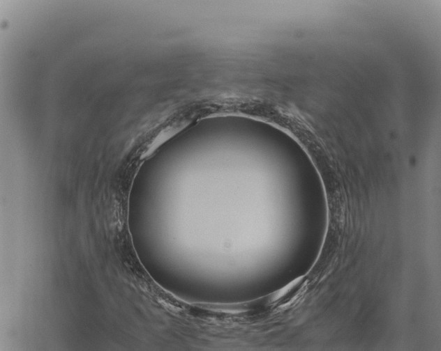 X0000063471253200601271621