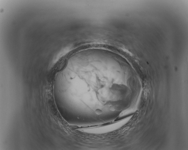 X0000063471255200601271621