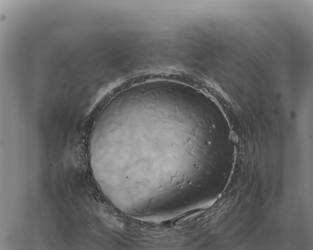 X0000063471256200601271621