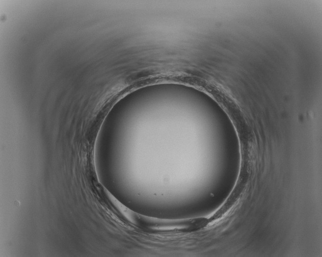 X0000063471257200601271621