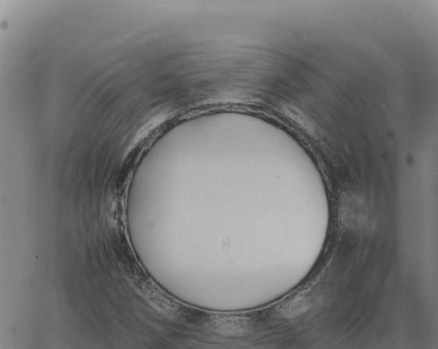 X0000063471258200601271621