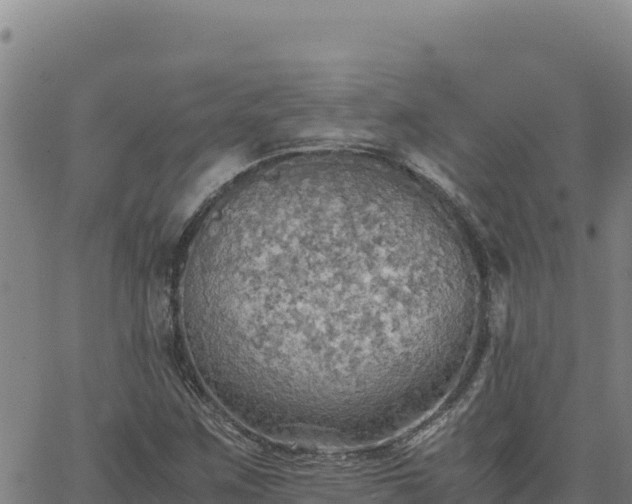 X0000063471259200601271621