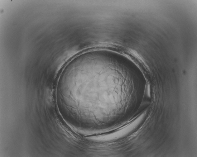 X0000063471260200601271621