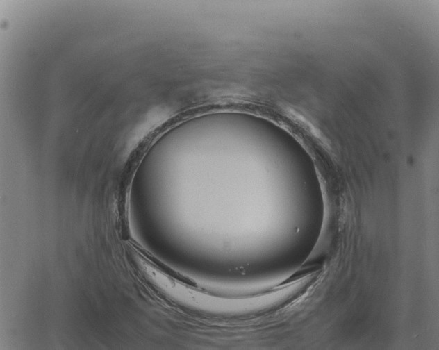 X0000063471261200601271621