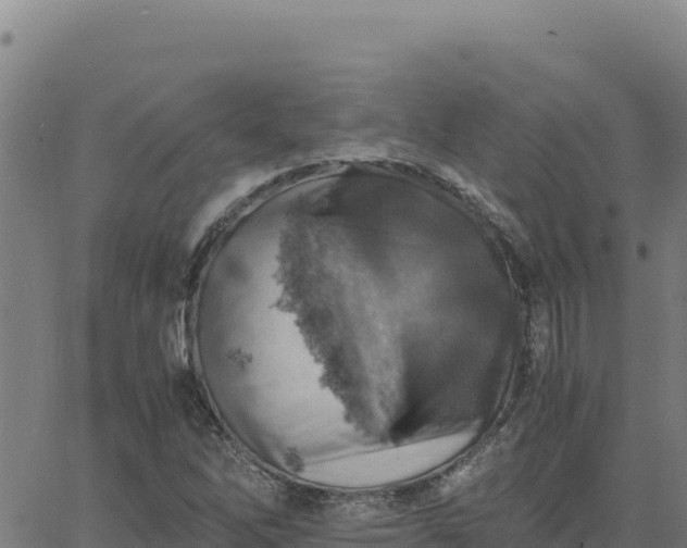 X0000063471262200601271620