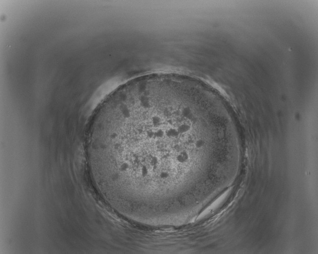 X0000063471263200601271620