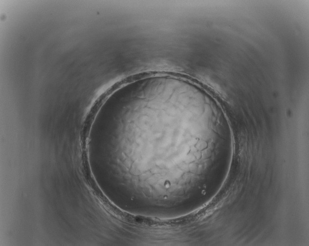 X0000063471264200601271620