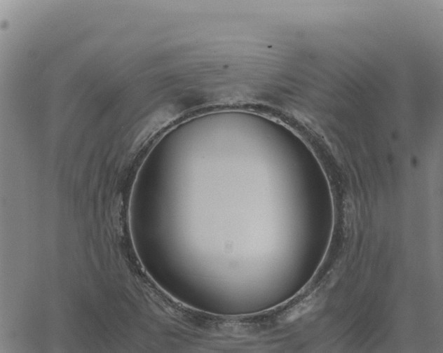 X0000063471265200601271620