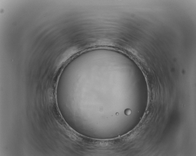 X0000063471266200601271620