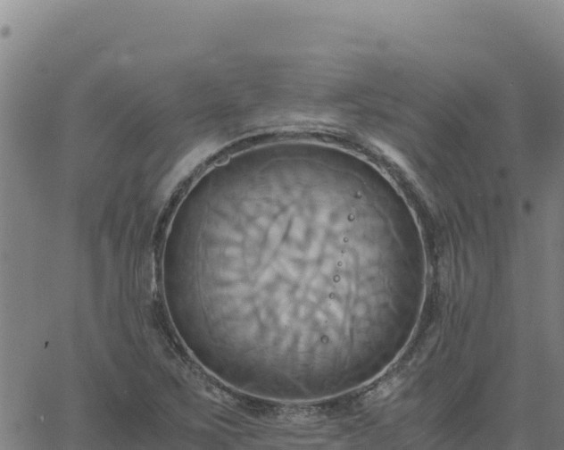 X0000063471267200601271620