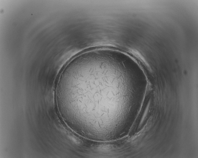 X0000063471268200601271620