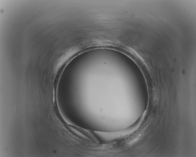 X0000063471269200601271620