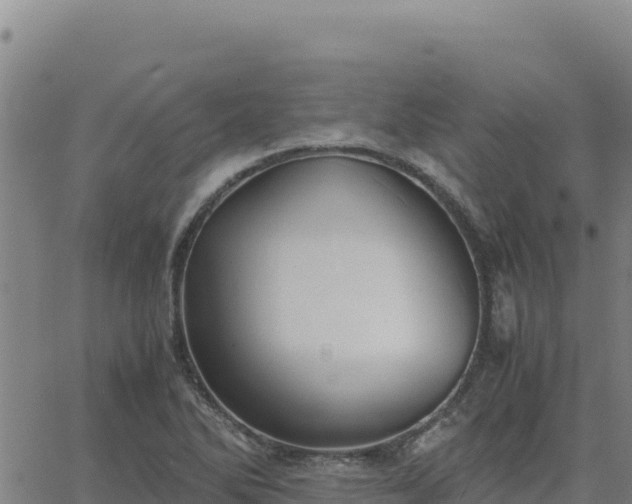 X0000063471270200601271620