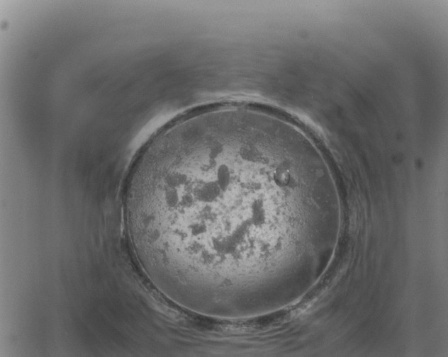 X0000063471271200601271620