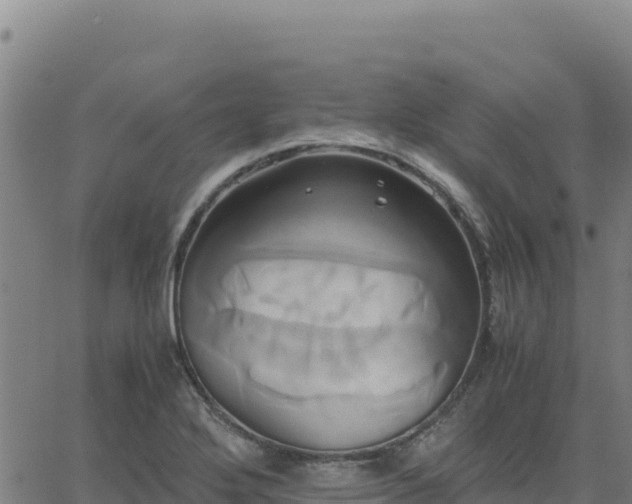 X0000063471272200601271620