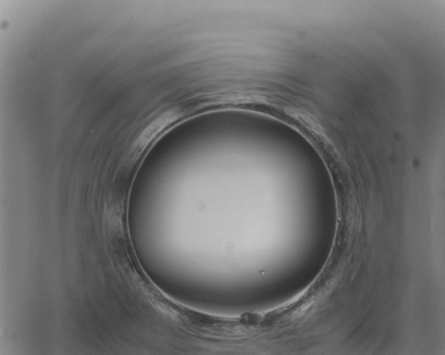 X0000063471273200601271620