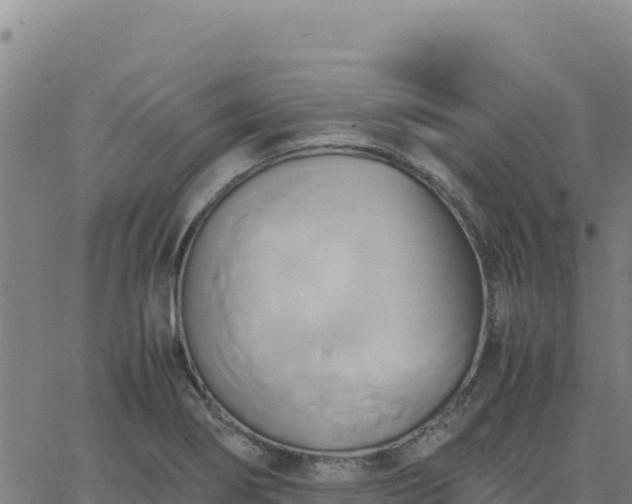 X0000063471274200601271620