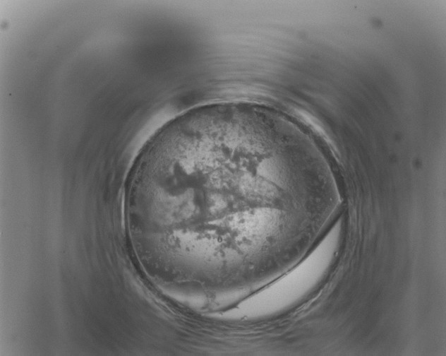 X0000063471275200601271620