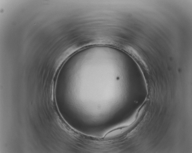 X0000063471276200601271620