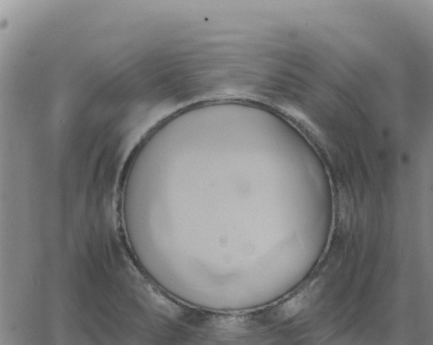 X0000063471278200601271620