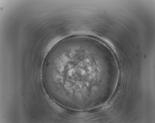 X0000063471279200601271620