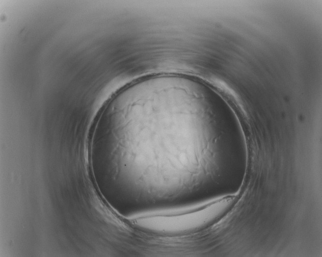 X0000063471280200601271620