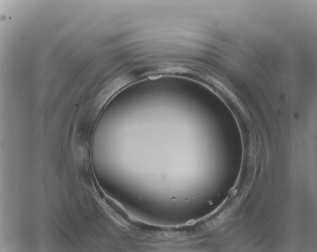 X0000063471281200601271620