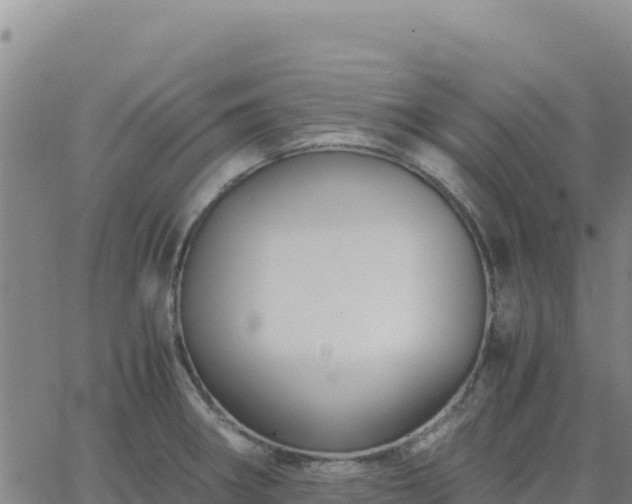 X0000063471282200601271620