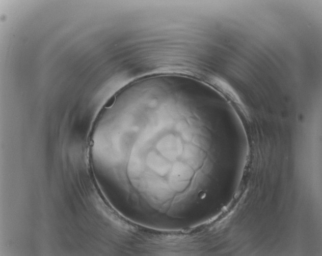 X0000063471284200601271620