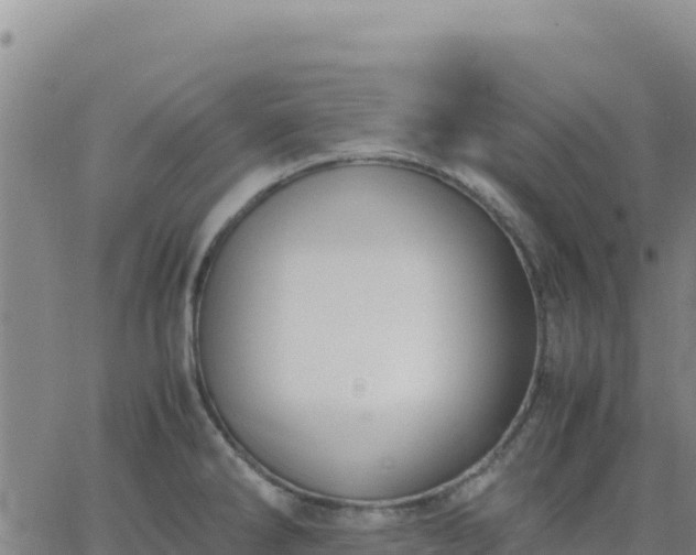 X0000063471286200601271620