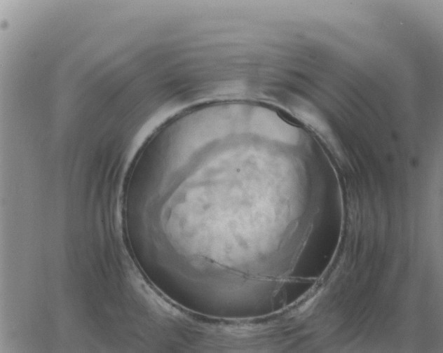 X0000063471288200601271620