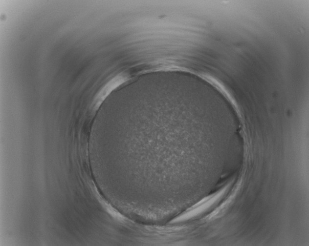 X0000063471289200601271620