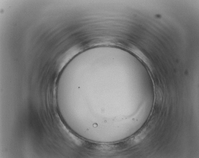 X0000063471290200601271620