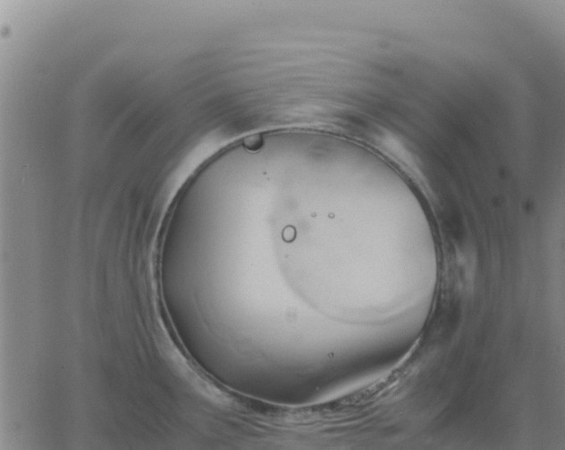 X0000063471291200601271620