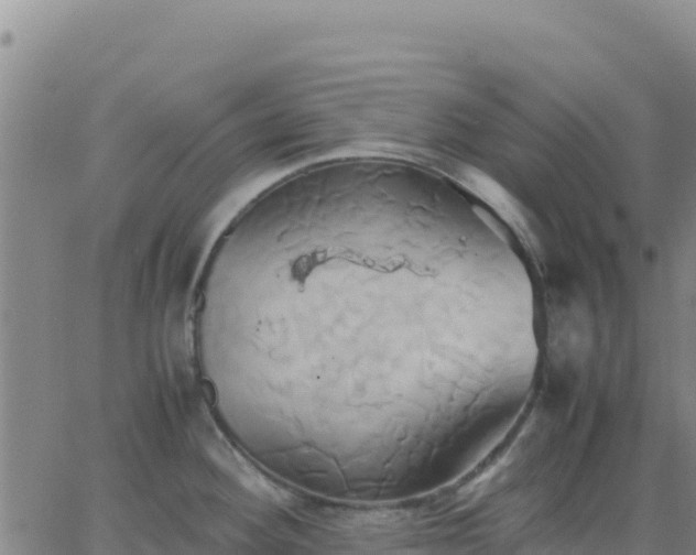 X0000063471292200601271620