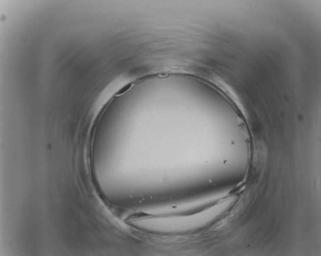 X0000063471293200601271620