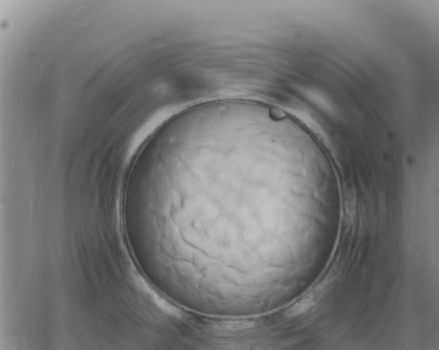 X0000063471294200601271620