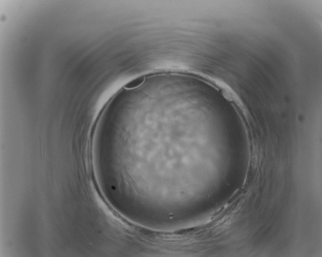 X0000063471295200601271620